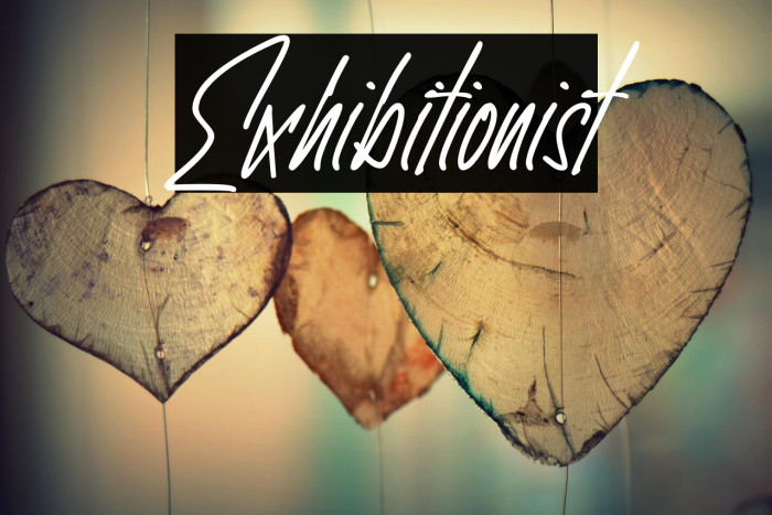 Exhibitionist Example 3