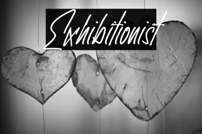 Exhibitionist Example 3