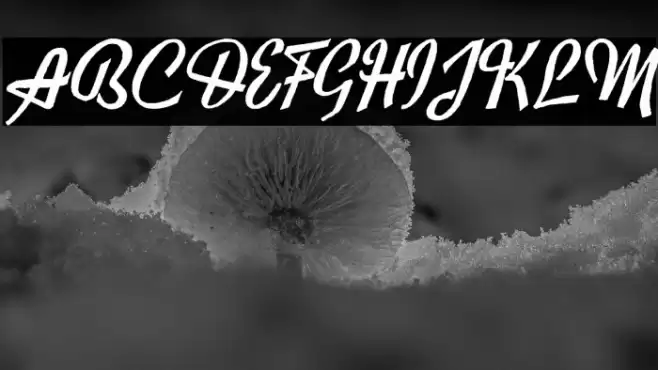 Exiles Font examples