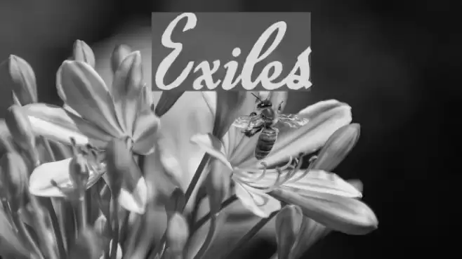 Exiles Font examples