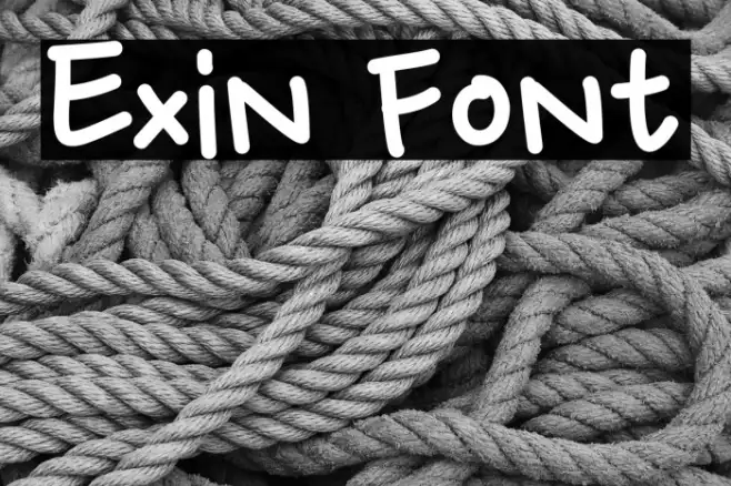Exin Example 2