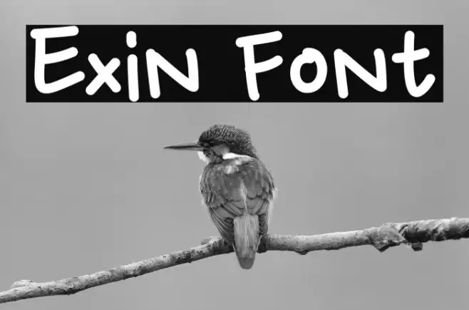 Exin Example 3