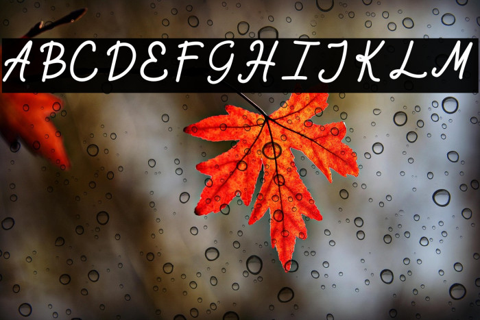 Exiona Demo Example 2