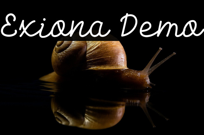 Exiona Demo Example 2