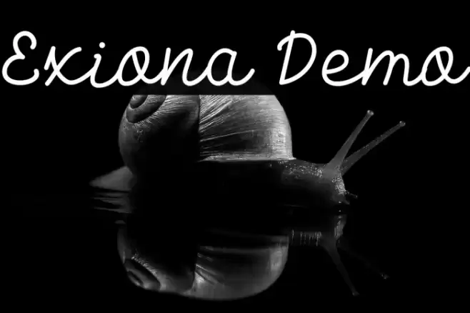 Exiona Demo Font examples