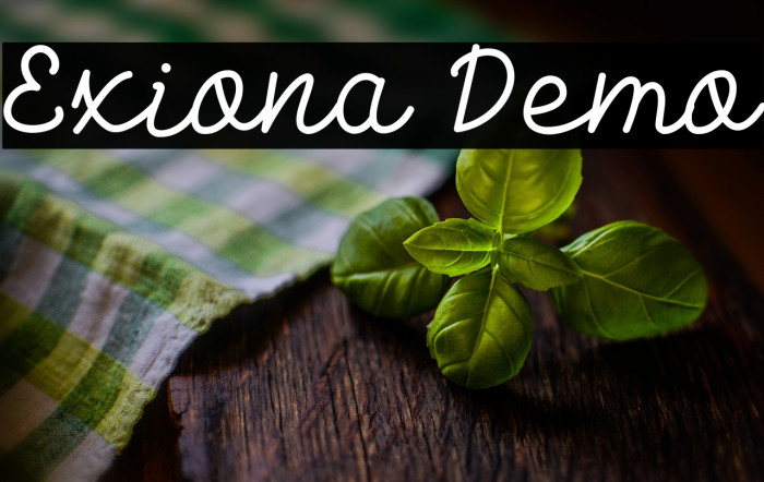 Exiona Demo Example 3