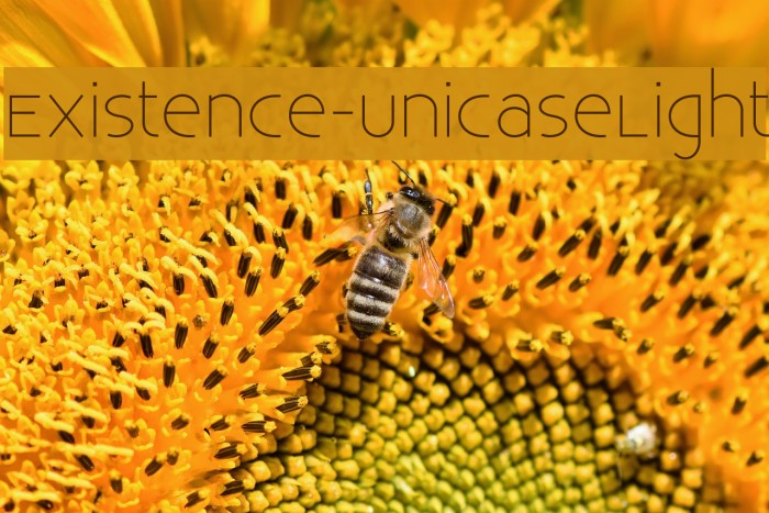 Existence-UnicaseLight Font examples