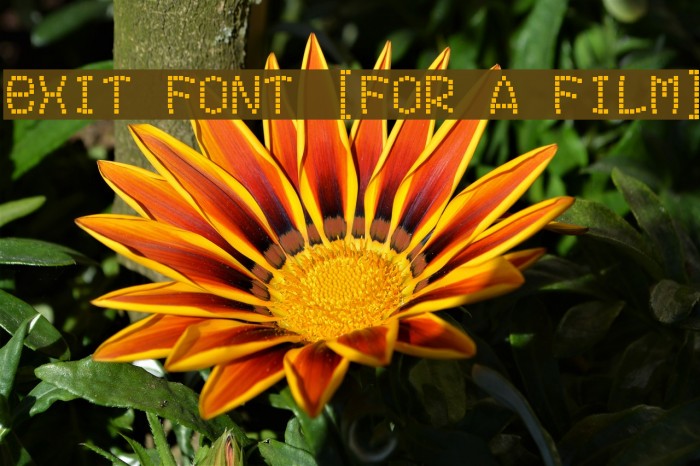 Exit font [for a film] Example 2