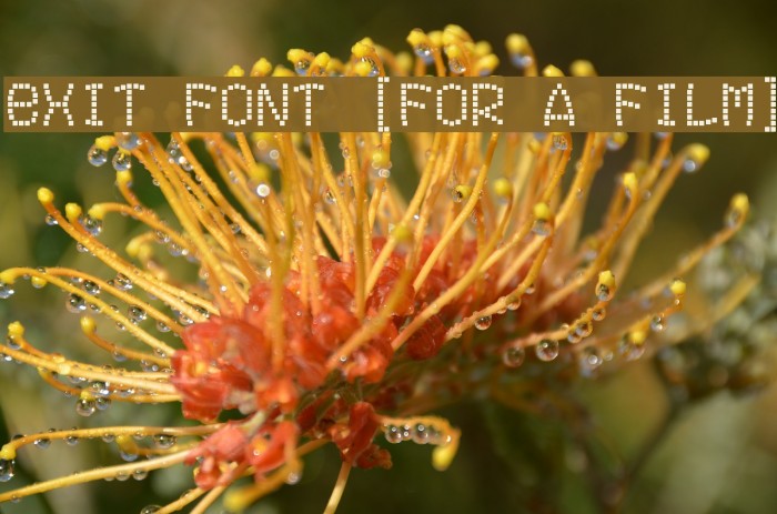 Exit font [for a film] Example 3