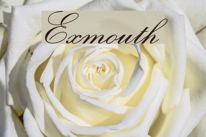 Exmouth フォント examples