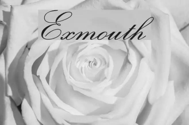 Exmouth Font examples