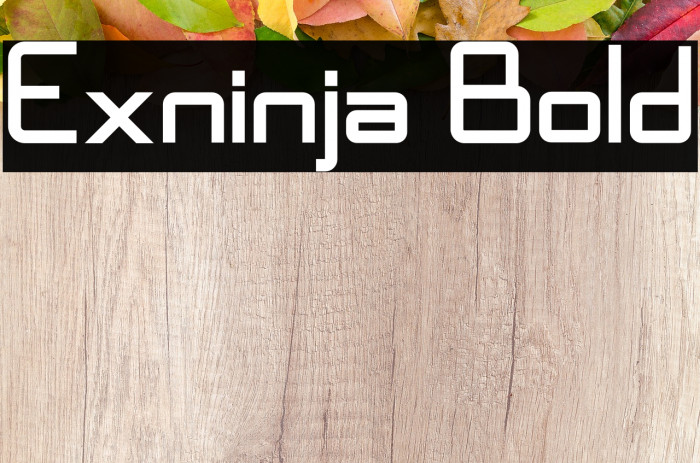 Exninja Bold Font examples