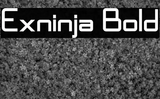 Exninja Bold Font examples