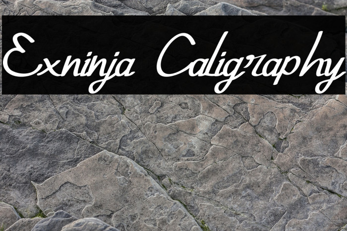 Exninja Caligraphy Font examples