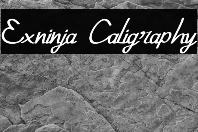 Exninja Caligraphy Font examples