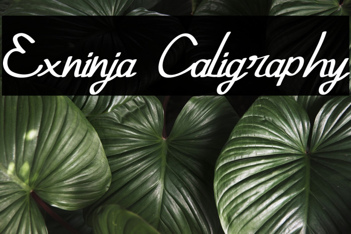 Exninja Caligraphy Font examples