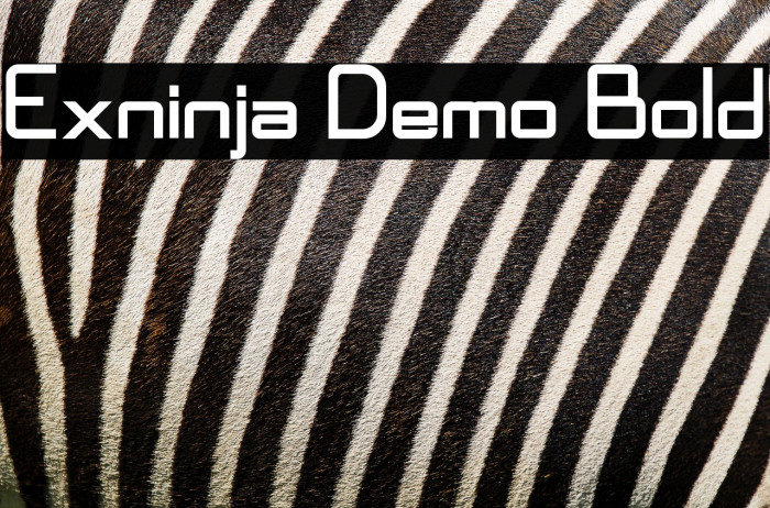 Exninja Demo Bold Example 2