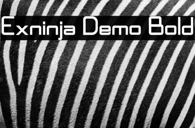 Exninja Demo Bold Example 2