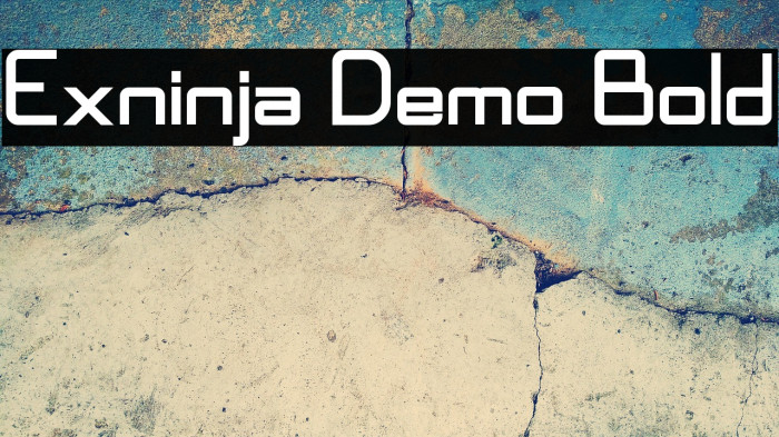 Exninja Demo Bold Example 3