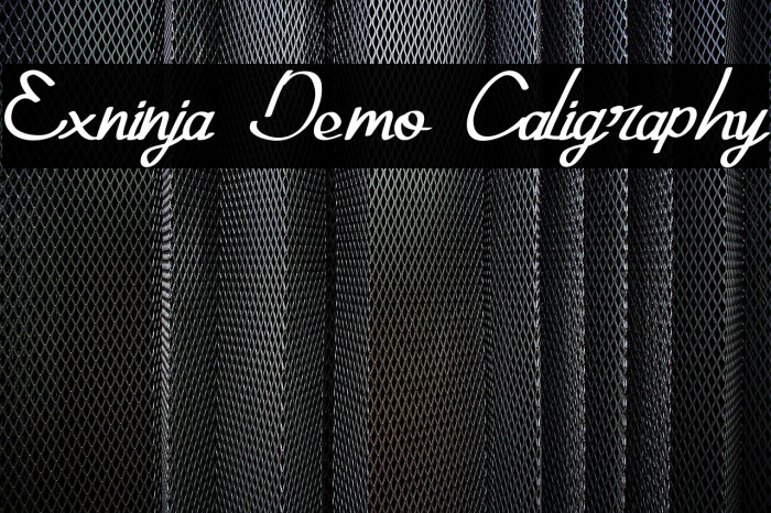 Exninja Demo Caligraphy Example 1
