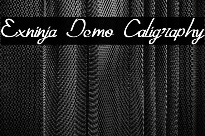 Exninja Demo Caligraphy Example 1