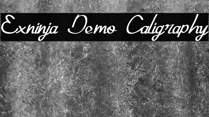 Exninja Demo Caligraphy Example 2