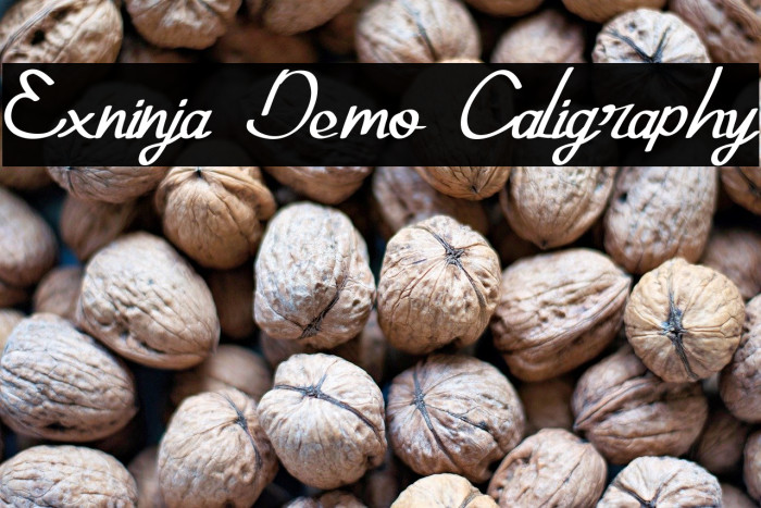 Exninja Demo Caligraphy Example 3