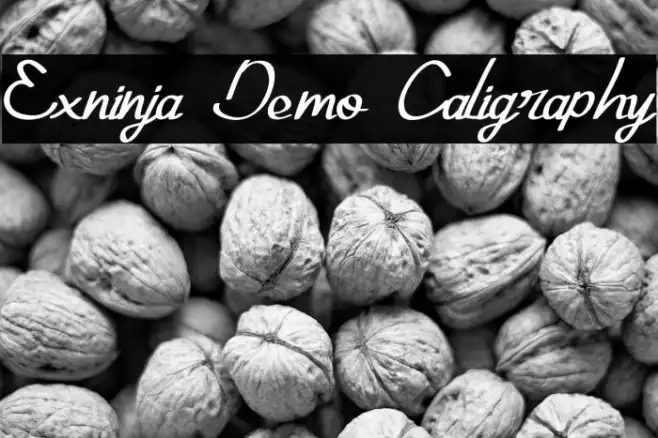 Exninja Demo Caligraphy Example 3