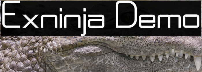 Exninja Demo Example 1