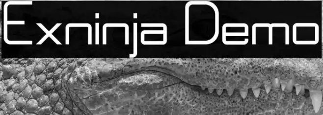 Exninja Demo Example 1
