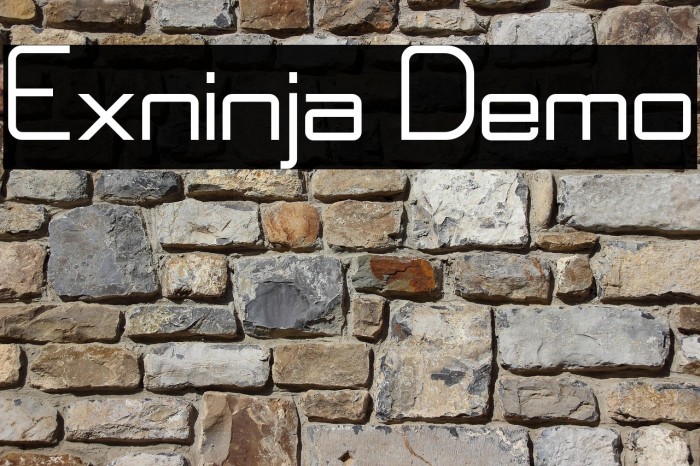 Exninja Demo Example 2