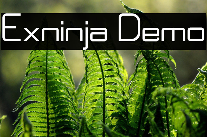 Exninja Demo Example 3