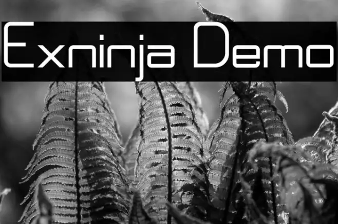 Exninja Demo Example 3