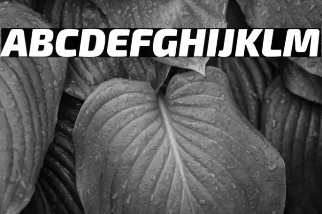 Exo 2 Black Italic Font examples