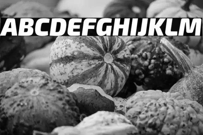 Exo 2 Black Italic Font examples