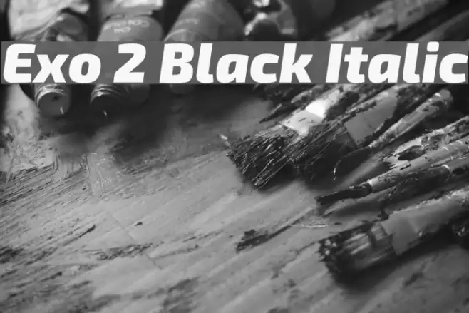 Exo 2 Black Italic Font examples