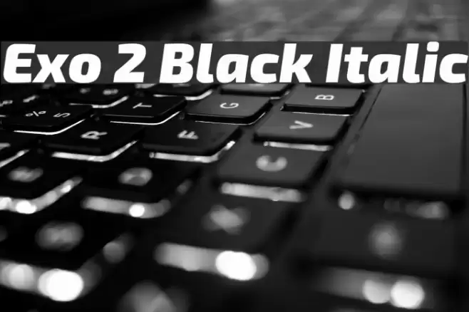 Exo 2 Black Italic Font examples