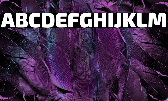 Exo 2 Black Example 2