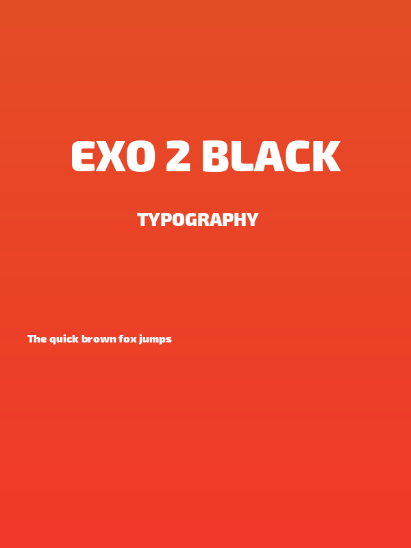 Exo 2 Black Poster