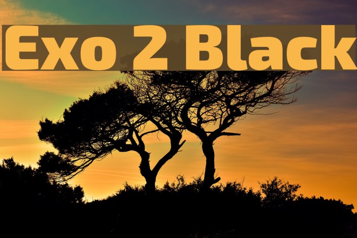 Exo 2 Black Font examples