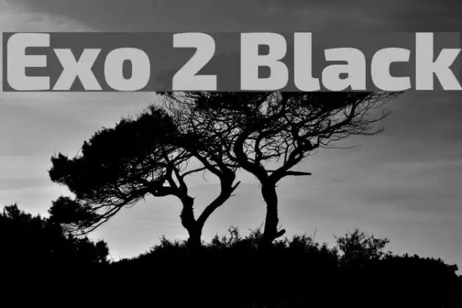 Exo 2 Black Font examples