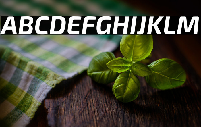 Exo 2 Bold Italic Example 3