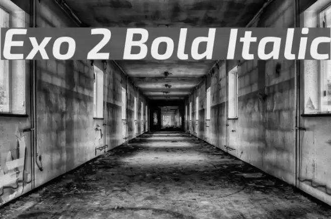Exo 2 Bold Italic Font examples