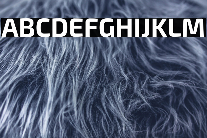 Exo 2 Bold Example 3