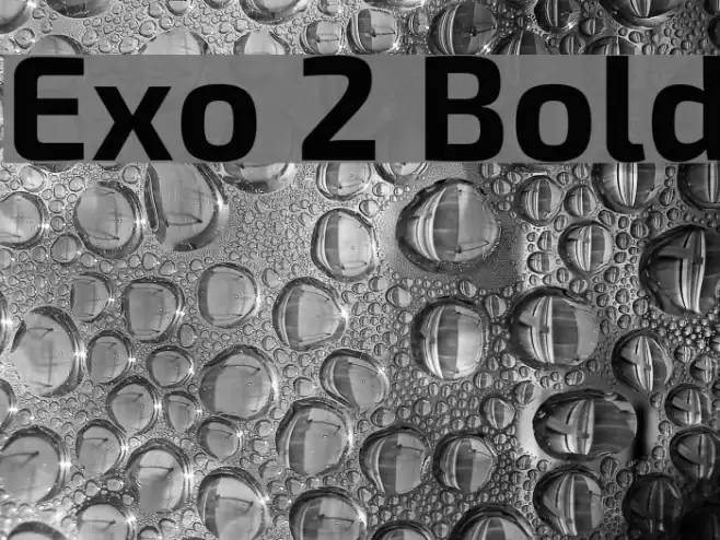 Exo 2 Bold Font examples