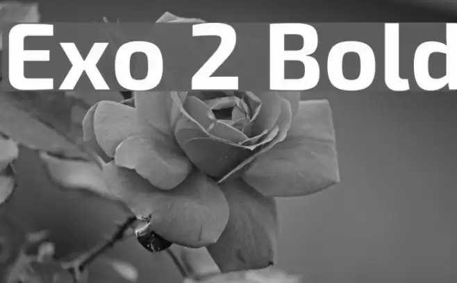 Exo 2 Bold Font examples