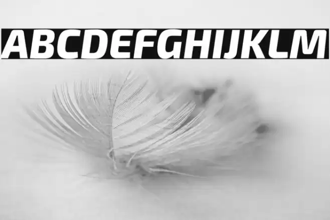 Exo 2 Extra Bold Italic Font examples