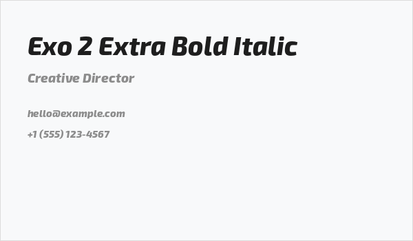 Exo 2 Extra Bold Italic Business Card