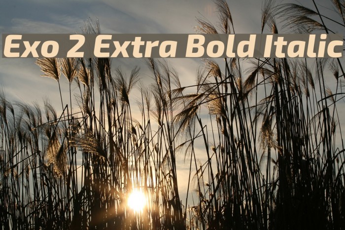 Exo 2 Extra Bold Italic Font examples