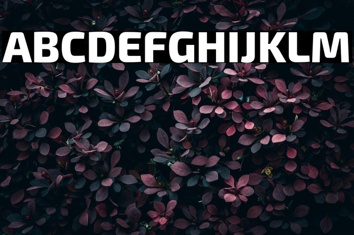 Exo 2 Extra Bold Example 1